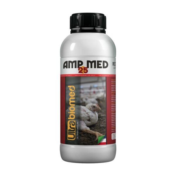 Amp-Med-25